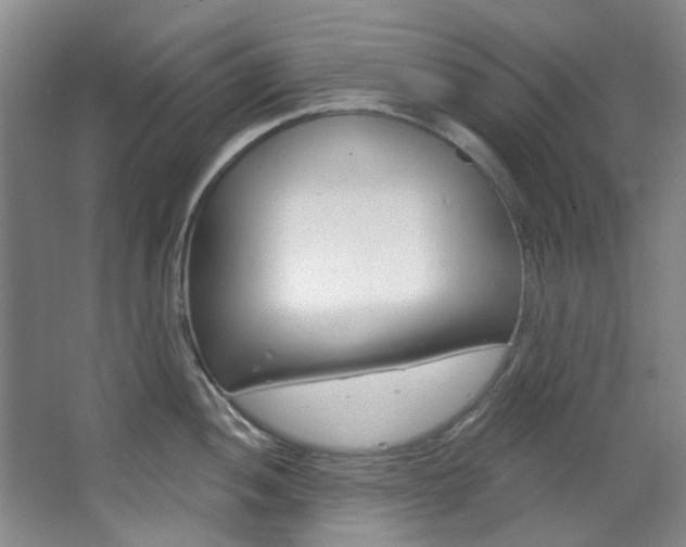 X0000068741052200604281011