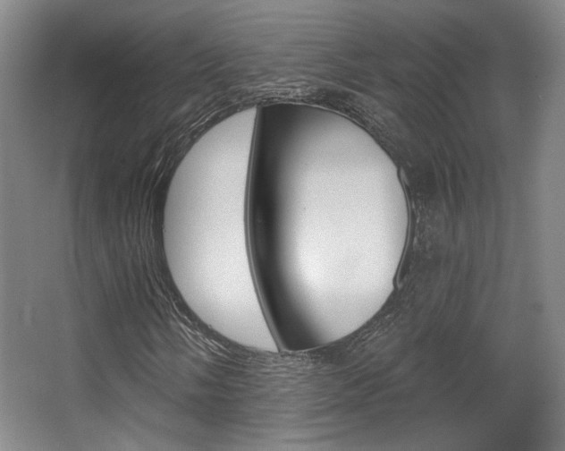 X0000068741058200604281010
