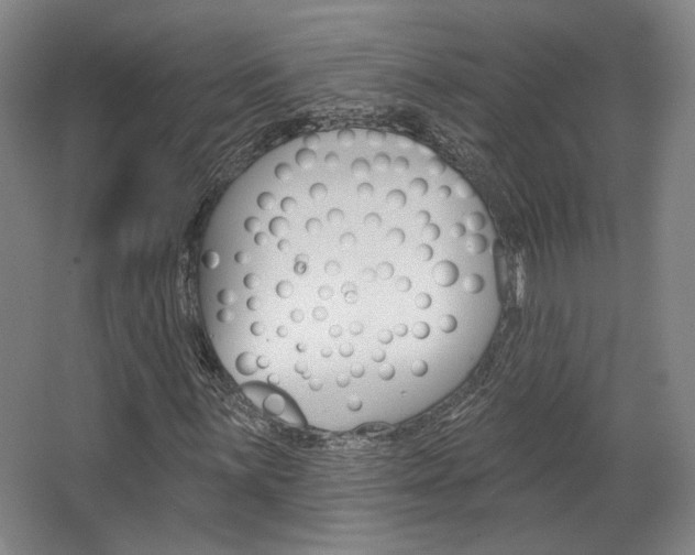X0000068741059200604281010