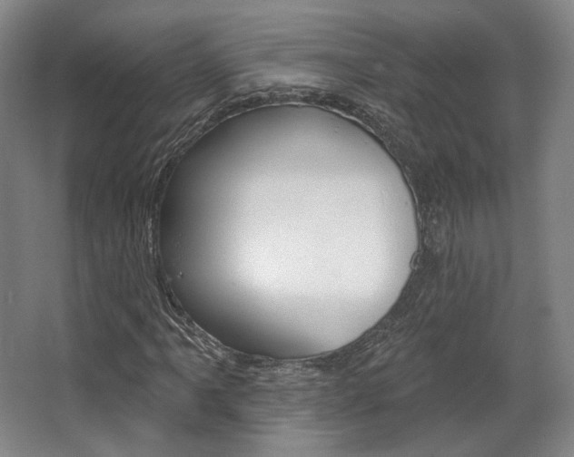 X0000068741061200604281010