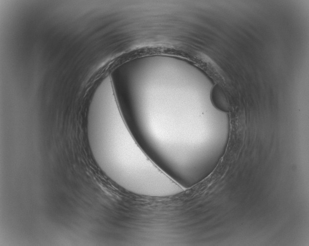 X0000068741064200604281010