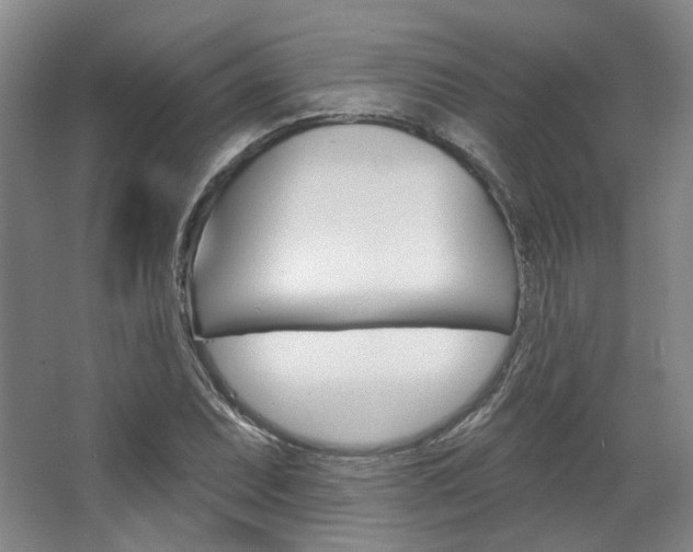 X0000068741071200604281010