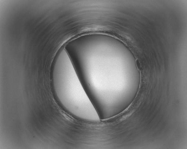 X0000068741073200604281010