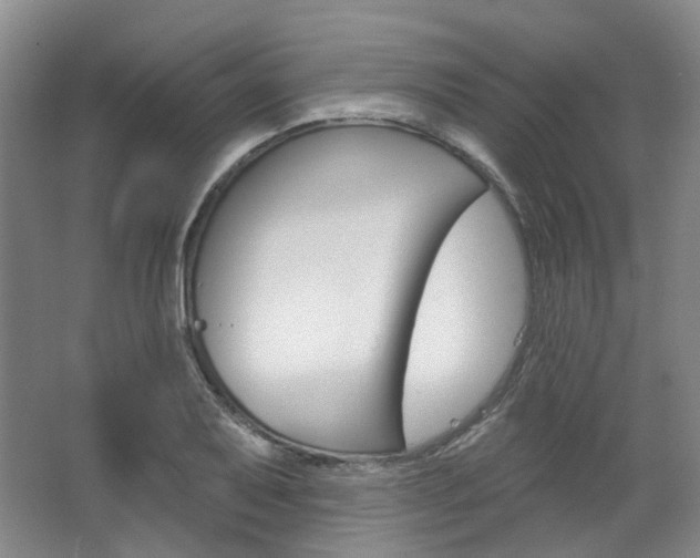 X0000068741079200604281010