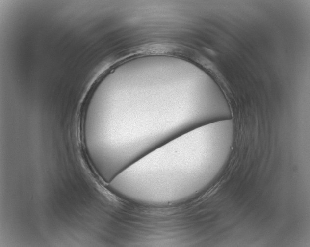 X0000068741083200604281010