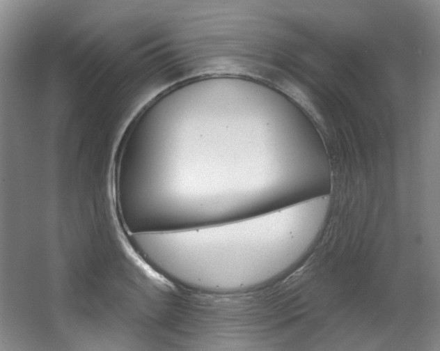 X0000068741084200604281010