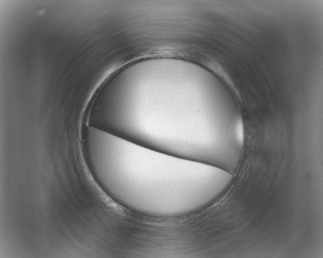 X0000068741091200604281010