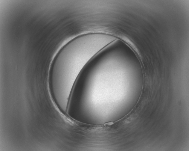 X0000068741093200604281010
