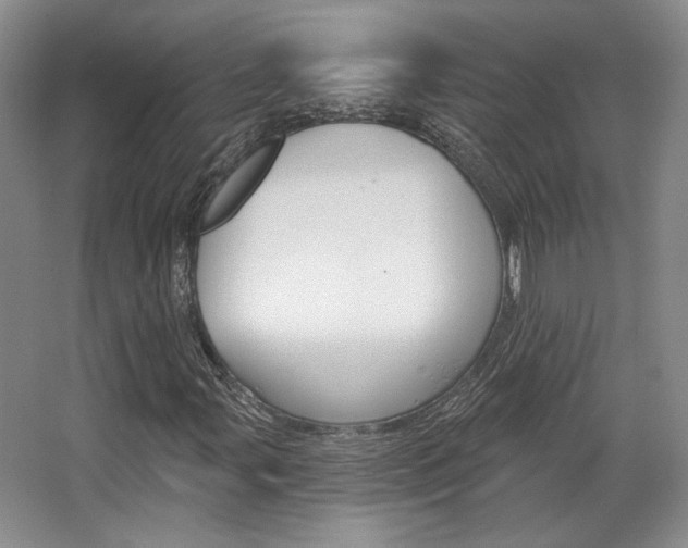X0000068741107200604281009