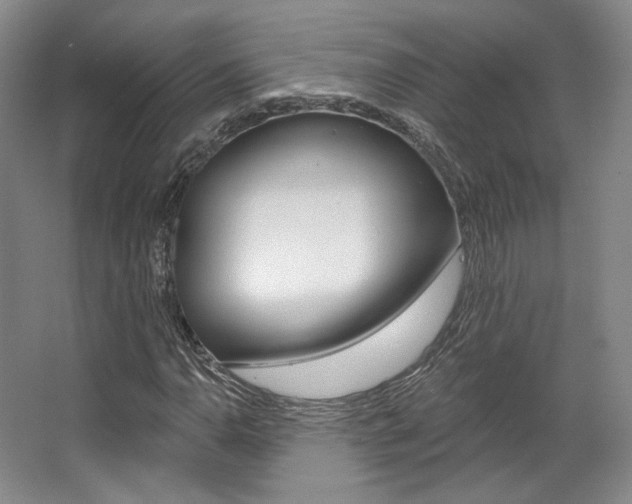 X0000068741110200604281009