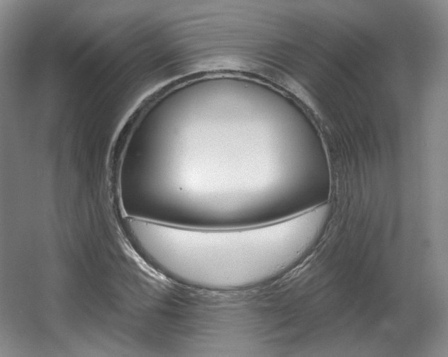 X0000068741116200604281009