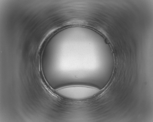 X0000068741123200604281009