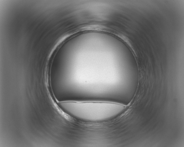 X0000068741131200604281009