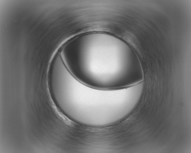 X0000068741132200604281009