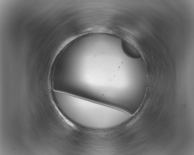 X0000068741141200604281009