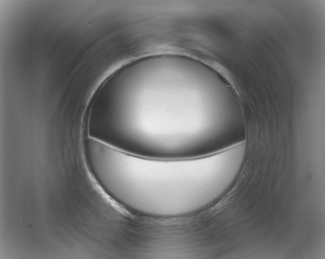 X0000068741142200604281009