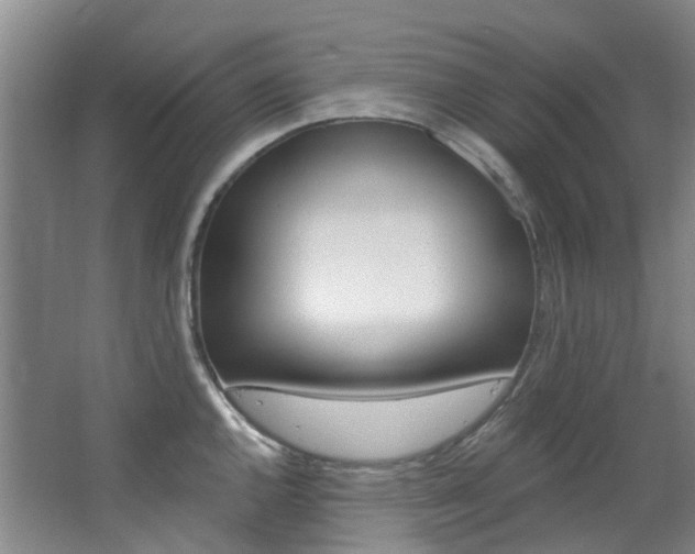X0000068741144200604281009