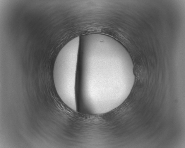 X0000068741154200604281009