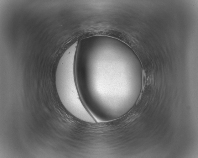 X0000068741156200604281009