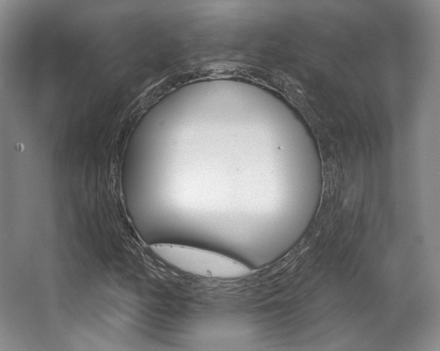 X0000068741158200604281009