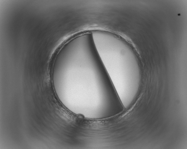 X0000068741167200604281008