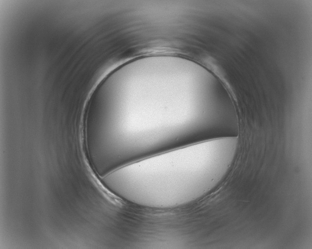 X0000068741195200604281008