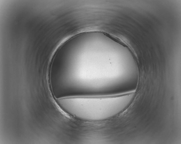 X0000068741197200604281008