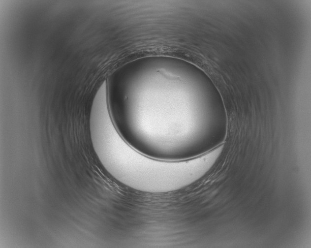 X0000068741202200604281007
