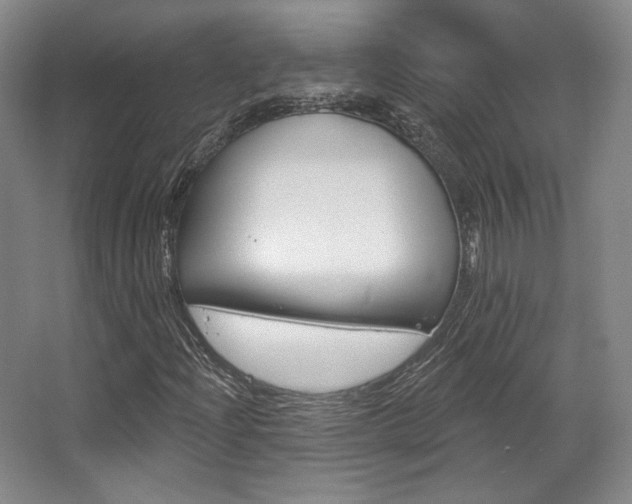 X0000068741204200604281007