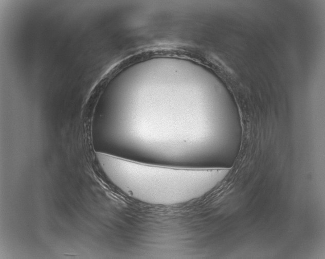 X0000068741208200604281007