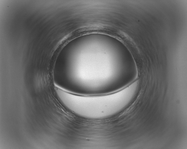 X0000068741210200604281007