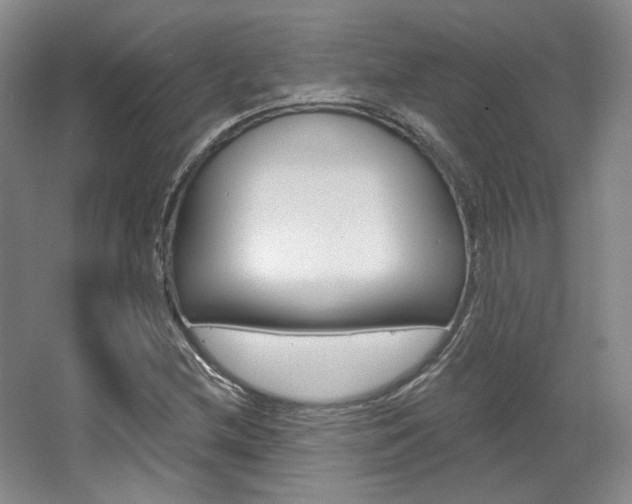 X0000068741212200604281007