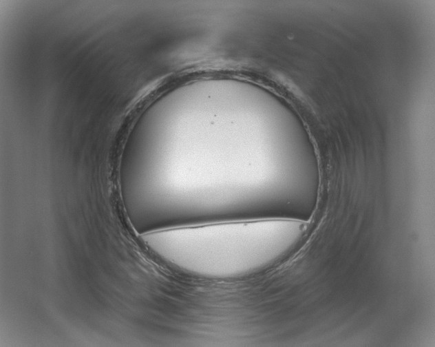 X0000068741213200604281007
