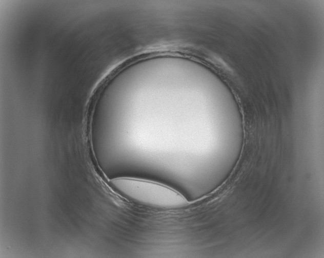 X0000068741216200604281007