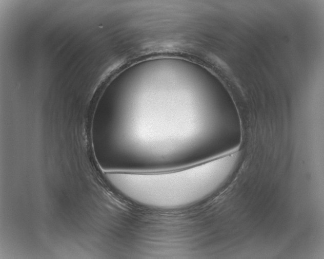 X0000068741218200604281007