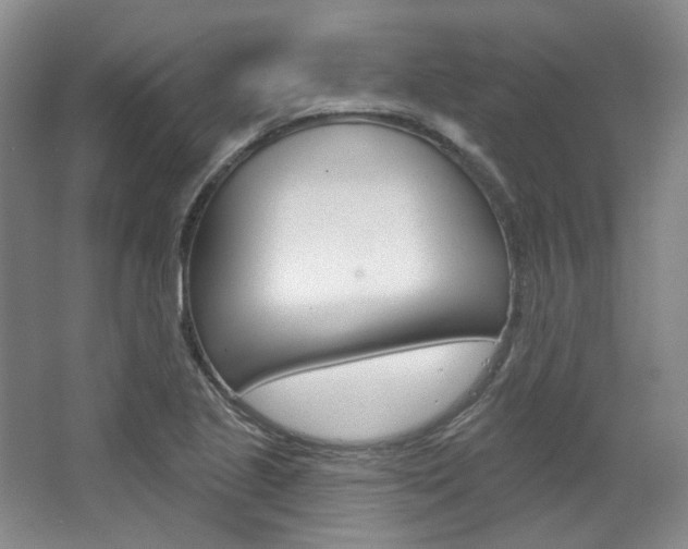 X0000068741221200604281007