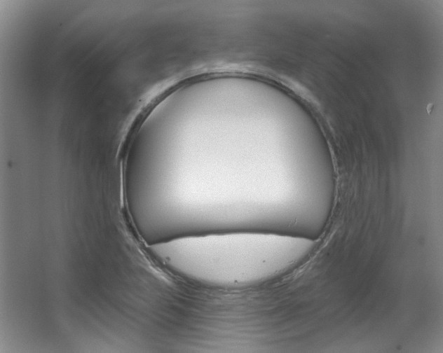 X0000068741223200604281007
