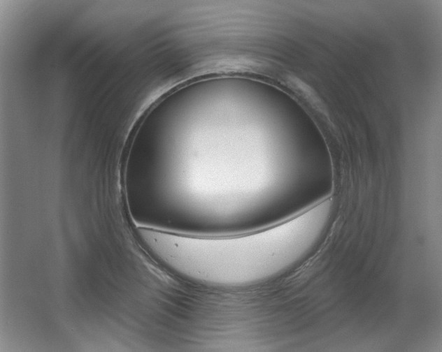 X0000068741226200604281007