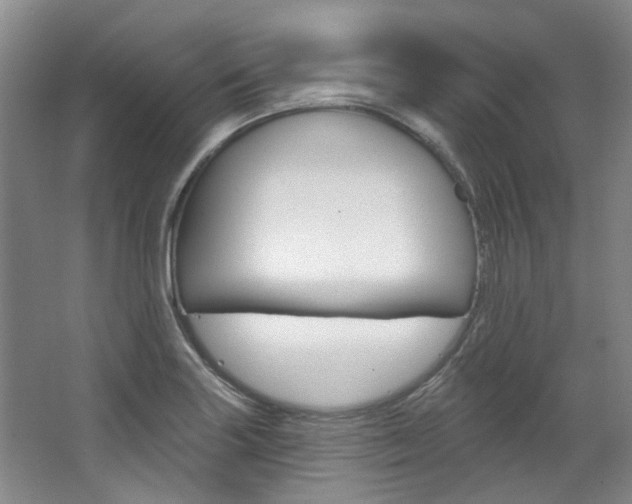 X0000068741227200604281007