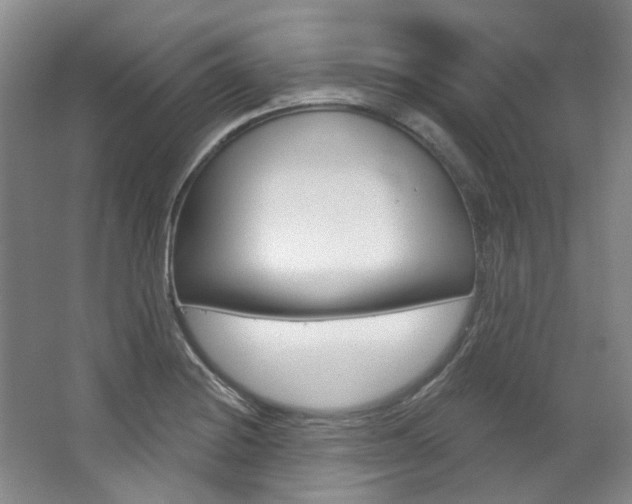 X0000068741228200604281007