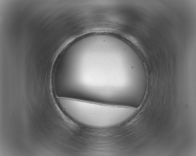 X0000068741229200604281007