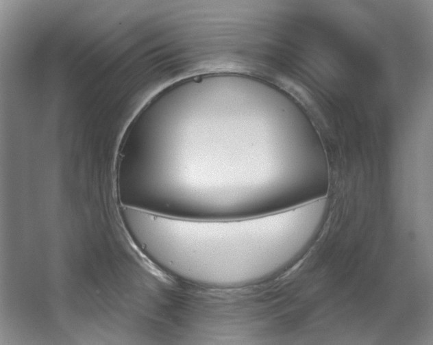 X0000068741236200604281008