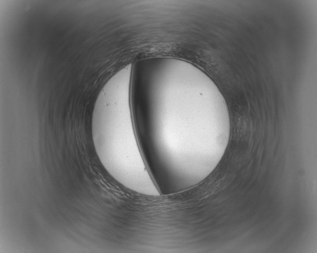 X0000068741250200604281007