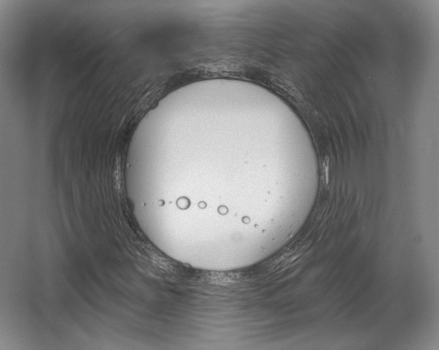 X0000068741251200604281007