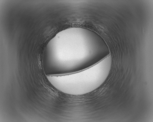 X0000068741252200604281007