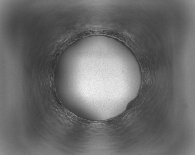 X0000068741253200604281007