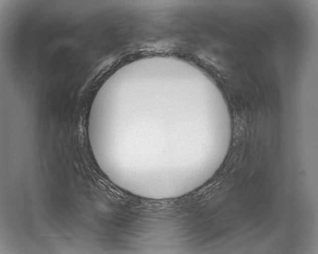 X0000068741254200604281007