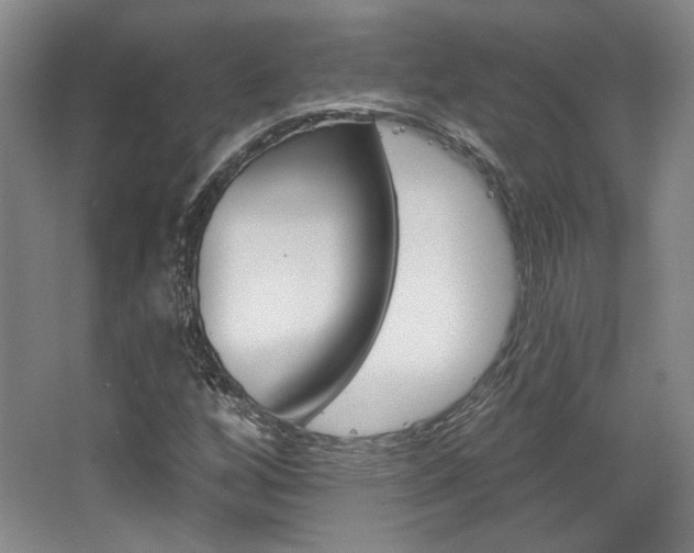 X0000068741256200604281007