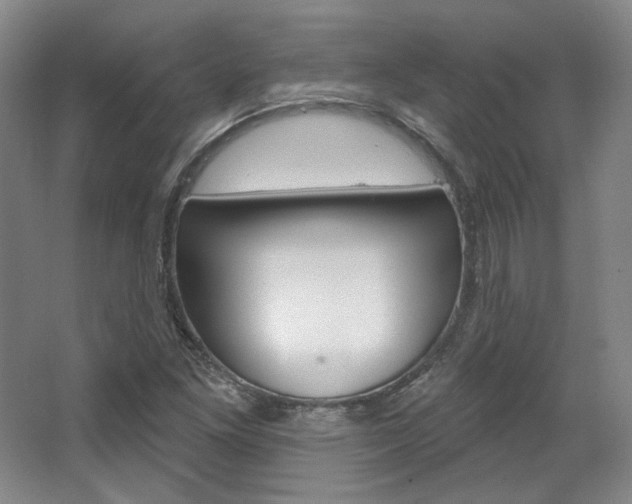 X0000068741261200604281007