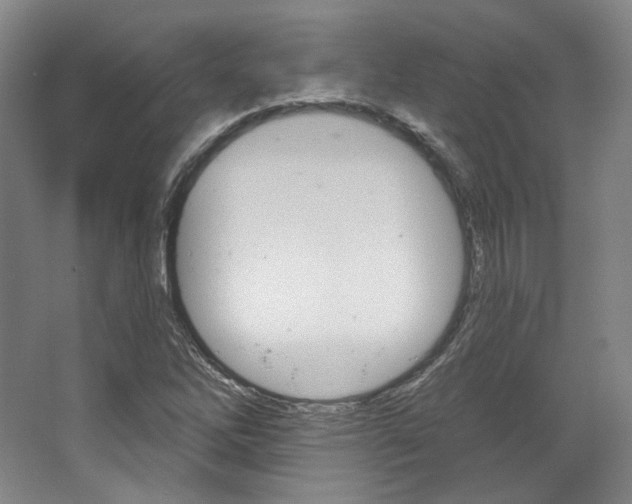 X0000068741262200604281007